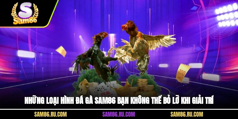 Những loại hình đá gà Sam86 bạn không thể bỏ lỡ khi giải trí