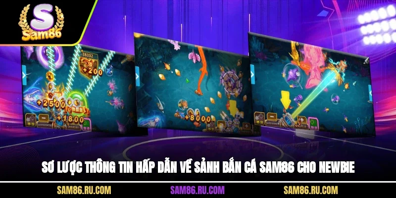 Sơ lược thông tin hấp dẫn về sảnh bắn cá Sam86 cho newbie